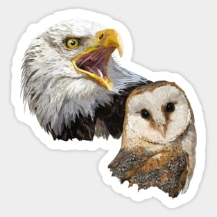 American Owl and Pigargo Sticker